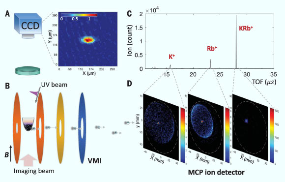 Schematic of the team’s ultracold chemistry apparatus; ground-state KRb molecules at 500 nK are trapped by a crossed optical dipole trap: (A) absorption image of KRb molecules; the color bar indicates the optical depth of the KRb cloud; CCD - charge-coupled device; (B) the trapped molecules are surrounded by velocity-map imaging (VMI) ion optics , which consist of a series of disk-shaped electrodes; the researchers use a pulsed UV laser to photoionize the molecules; B - magnetic field; (C) example time of flight (TOF) spectrum; (D) for each species identified in the mass spectrum, the scientists also obtain a velocity-map image from which the momentum distribution can be inferred. Image credit: Hu et al, doi: 10.1126/science.aay9531.