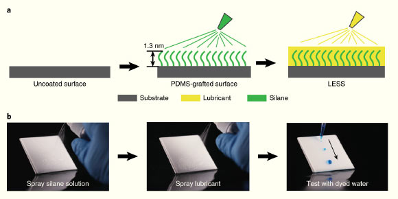 Fabrication of the liquid-entrenched smooth surface: (a) schematic showing the two-step spray-coating process to form the LESS coating; the molecularly grafted polymer layer creates chemical affinity to the lubricant; (b) optical images showing the individual coating processes on glass; the lubricant used was silicone oil, and the blue testing liquid was dyed water. Image credit: Wang et al, doi: 10.1038/s41893-019-0421-0.