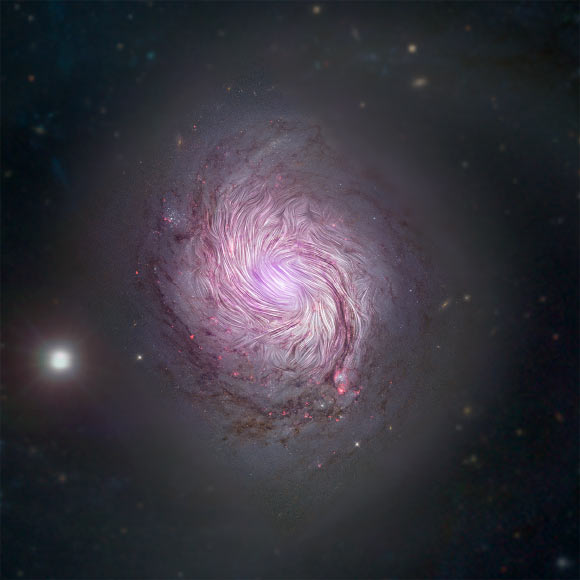 Magnetic fields in the spiral galaxy Messier 77, also known as M77 and NGC 1086, are shown as streamlines over a visible light and X-ray composite image of the galaxy from the NASA/ESA Hubble Space Telescope, NASA’s Nuclear Spectroscopic Telescope Array (NuSTAR), and the Sloan Digital Sky Survey. The magnetic fields align along the entire length of the massive spiral arms of Messier 77, implying that the gravitational forces that created the galaxy’s shape are also compressing the its magnetic field. This supports the leading theory of how the spiral arms are forced into their iconic shape known as ‘density wave theory.’ SOFIA studied the galaxy using far-infrared light (89 microns) to reveal facets of its magnetic fields that previous observations using visible and radio telescopes could not detect. Image credit: NASA / SOFIA / JPL-Caltech / Roma Tre University.