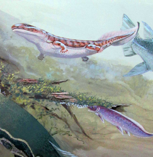 Illustration of Isityumzi mlomomde (lower right) and other Late Devonian freshwater ecosystem creatures including the early tetrapod Unzantsia. Image credit: Maggie Newman.
