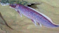 Illustration of Isityumzi mlomomde (lower right) and other Late Devonian freshwater ecosystem creatures including the early tetrapod Unzantsia. Image credit: Maggie Newman.