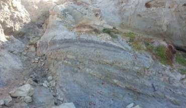 Rocks containing microscopic pollen were collected to determine the age of fossil leaves from Castle Cove, Otway Ranges, Victoria, Australia. Image credit: Vera Korasidis.