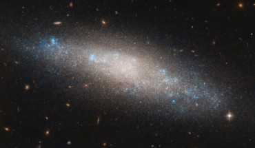 This Hubble image shows NGC 4455, a barred spiral galaxy located some 22 million light-years away in the constellation Coma Berenices. The image was taken by Hubble’s Advanced Camera for Surveys (ACS). Image credit: NASA / ESA / Hubble / I. Karachentsev et al.