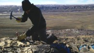 Dr. West hunts for fossils using a rock hammer to split apart shale on Ellesmere Island. Image credit: Markus Sudermann.