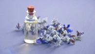 Beta-carophyllene, a compound included in essential oils, improves the healing process in mice when it is topically applied to a skin wound. Image credit: Marina Pershina.