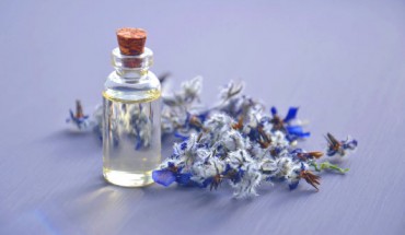Beta-carophyllene, a compound included in essential oils, improves the healing process in mice when it is topically applied to a skin wound. Image credit: Marina Pershina.