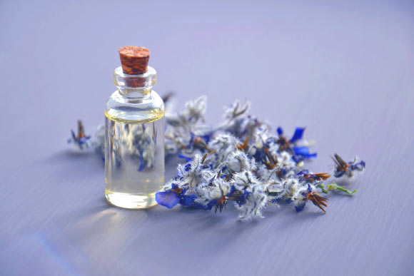 Beta-carophyllene, a compound included in essential oils, improves the healing process in mice when it is topically applied to a skin wound. Image credit: Marina Pershina.