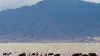 Lake Magadi. Image credit: Stig Nygaard, Flickr / CC BY 2.0.