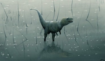 A juvenile Tyrannosaurus rex, based on the Jane specimen, walking through a lake. Image credit: PaleoEquii / CC BY-SA 4.0.