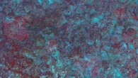 The Fiskardo shipwreck. Image credit: Ferentinos et al, doi: 10.1016/j.jas.2019.105032.