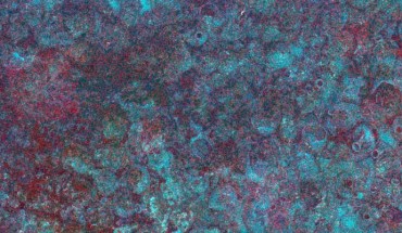 The Fiskardo shipwreck. Image credit: Ferentinos et al, doi: 10.1016/j.jas.2019.105032.