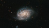 This Hubble image shows NGC 1803, a spiral galaxy located 200 million light-years away in the constellation of Pictor. The image is made up of observations from Hubble’s Advanced Camera for Surveys (ACS) instrument in the near-infrared and optical parts of the spectrum. Two filters were used to sample various wavelengths. The color results from assigning different hues to each monochromatic image associated with an individual filter. Image credit: NASA / ESA / Hubble / A. Bellini et al.