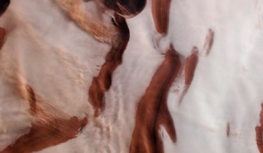 This HRSC image shows plumes of dust clouds over the ice cap at Mars’ north pole. The landscape here is a rippled mix of color. Dark red and ochre-hued troughs appear to cut through the icy white of the polar cap; these form part of a wider system of depressions that spiral outwards from the very center of the pole. Visible to the left of the frame are a few extended streams of clouds, aligned perpendicularly to a couple of the troughs. These are thought to be caused by small local storms that kick up dust into the Martian atmosphere, eroding scarps and slopes as they do so and slowly changing the appearance of the troughs over time. Image credit: ESA / DLR / FU Berlin / CC BY-SA 3.0 IGO.