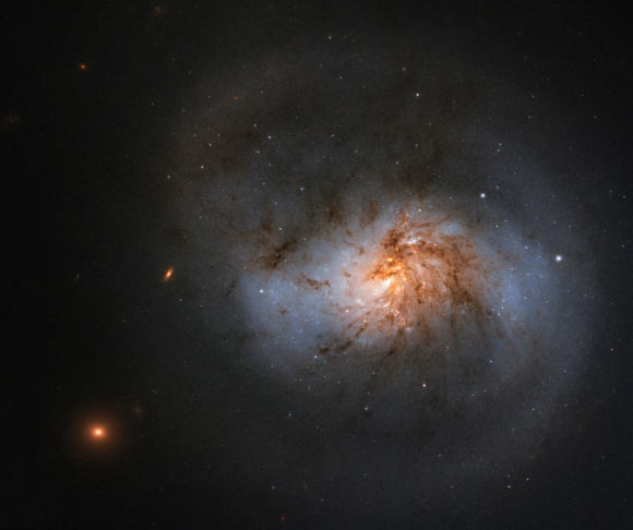 This Hubble image shows NGC 1022, a face-on barred spiral galaxy located in the constellation of Cetus, approximately 62 million light-years away. The image is made up of observations from Hubble’s Wide Field Camera 3 (WFC3) in the infrared and optical parts of the spectrum. Three filters were used to sample various wavelengths. The color results from assigning different hues to each monochromatic image associated with an individual filter. Image credit: NASA / ESA / Hubble / A. Seth.