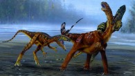A group of Allosaurus jimmadseni attacks a juvenile sauropod dinosaur. Image credit: Todd Marshall.