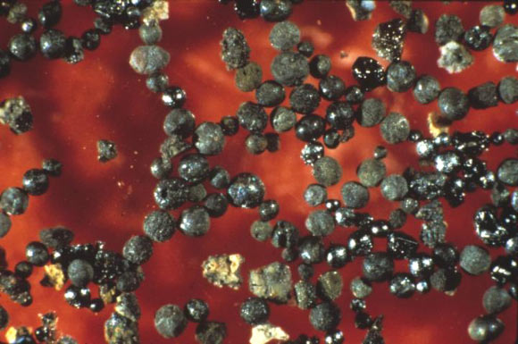 These 2.7 billion-year-old meteorites, about half a millimeter across, fell into the ocean and were collected from the deep sea. Image credit: Donald Brownlee / University of Washington.