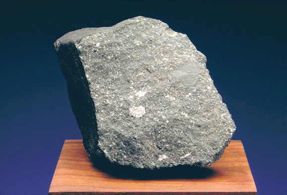 Curious Marie is a sample of the Allende meteorite, which fell in northern Mexico in February 1969. The white, fuzzy-looking features in this fragment are calcium-aluminum-rich inclusions -- some of the first solids to condense in the Solar System. Image credit: The Planetary Society.