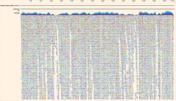 The whole genome sequence of the 2019-nCoV coronavirus isolated from a patient in France. Image credit: National Reference Center for Respiratory Viruses, Institut Pasteur.