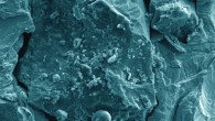A tiny grain of lunar soil brought back by Apollo 17, magnified under a scanning electron microscope. Image credit: Jennika Greer, Field Museum.
