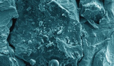 A tiny grain of lunar soil brought back by Apollo 17, magnified under a scanning electron microscope. Image credit: Jennika Greer, Field Museum.