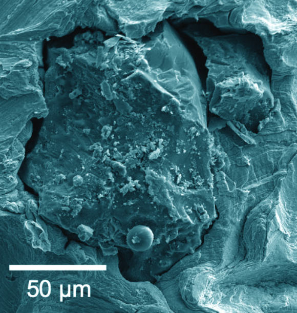 A tiny grain of lunar soil brought back by Apollo 17, magnified under a scanning electron microscope. Image credit: Jennika Greer, Field Museum.