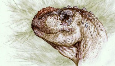 An artist’s impression of Tralkasaurus cuyi. Image credit: Sebastian Rozadilla.