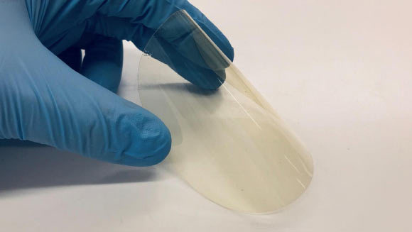 The synthetic bioplastic developed by Kainulainen et al. Image credit: University of Oulu.