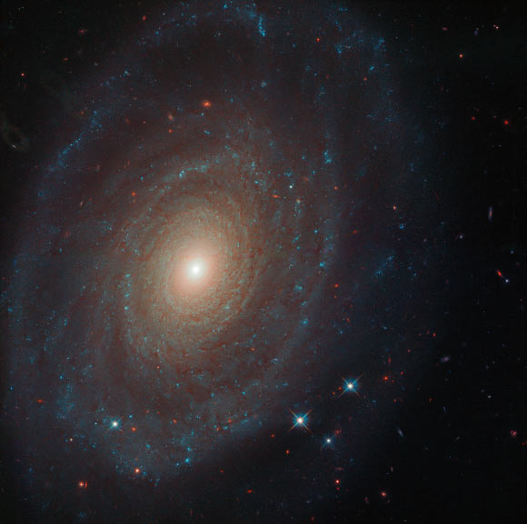 This Hubble image shows NGC 691, a spiral galaxy located 125 million light-years away in the constellation Aries. The image is made up of observations from Hubble’s WFC3 instrument in the infrared and optical parts of the spectrum. Four filters were used to sample various wavelengths. The color results from assigning different hues to each monochromatic image associated with an individual filter. Image credit: NASA / ESA / Hubble / A. Riess et al.