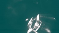 Laser-cooled atom cloud viewed through microscope camera. Image credit: University of Otago.
