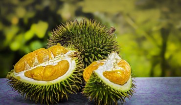 Durian fruits (Durio zibethinus). Image credit: Truthseeker08.
