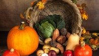 Ingestion of a prebiotic diet improves undisturbed NREM sleep, promotes REM sleep rebound after stress exposure, and prevents stress-induced reductions in gut microbial alpha diversity. Image credit: Sabrina Ripke.