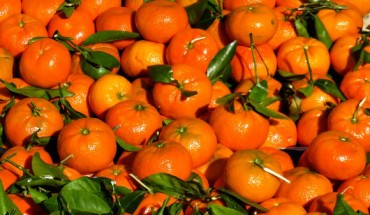 Nobiletin is a molecule found in sweet oranges and tangerines. Image credit: Gerhard Gellinger.