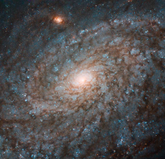 This Hubble image shows the flocculent spiral galaxy NGC 4237. The image is made up of observations from Hubble’s Wide Field Camera 3 (WFC3) instrument in the infrared and optical parts of the spectrum. Three filters were used to sample various wavelengths. The color results from assigning different hues to each monochromatic image associated with an individual filter. Image credit: NASA / ESA / Hubble / P. Erwin et al.