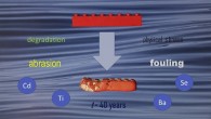 Turner et al estimated a LEGO brick could survive in the ocean for as many as 1,300 years. Image credit: Turner et al, doi: 10.1016/j.envpol.2020.114299.