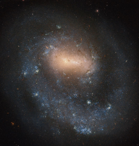 This Hubble image shows the barred spiral galaxy NGC 4618. The color image was made from separate exposures taken in the visible and near-infrared regions of the spectrum with Hubble’s Wide Field Camera 3 (WFC3) and Advanced Camera for Surveys (ACS) instruments. Three filters were used to sample various wavelengths. The color results from assigning different hues to each monochromatic image associated with an individual filter. Image credit: NASA / ESA / Hubble / I. Karachentsev.