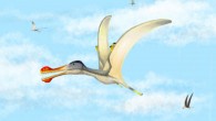 Anhanguera soaring the skies over the Kem Kem with Coloborhynchus and Ornithocheirus. Image credit: Megan Jacobs.