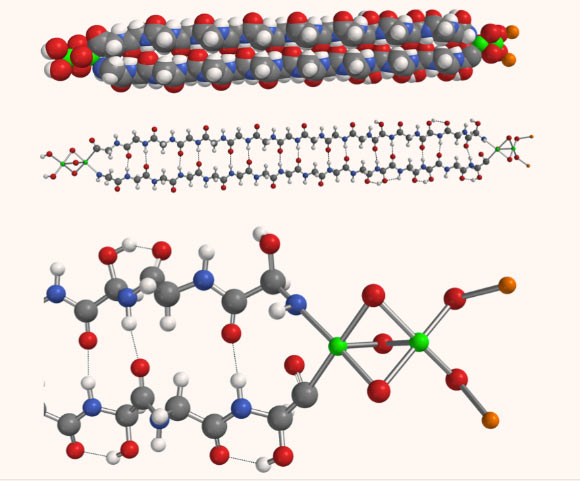 Model of the hemolithin molecule: space-filling mode (top), ball and stick (center), enlarged view of iron, oxygen and lithium termination (bottom). White = H; orange = Li; gray = C; blue = N; red = O and green = Fe. Hydrogen bonds are shown by dotted lines. Image credit: McGeoch et al, arXiv: 2002.11688.