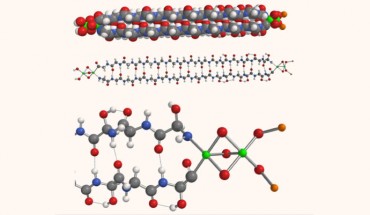 Model of the hemolithin molecule: space-filling mode (top), ball and stick (center), enlarged view of iron, oxygen and lithium termination (bottom). White = H; orange = Li; gray = C; blue = N; red = O and green = Fe. Hydrogen bonds are shown by dotted lines. Image credit: McGeoch et al, arXiv: 2002.11688.