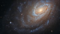 This Hubble image shows the spiral galaxy NGC 4651. The color image was made from separate exposures taken in the visible and near-infrared regions of the spectrum with Hubble’s Advanced Camera for Surveys (ACS) instrument. Two filters were used to sample various wavelengths. The color results from assigning different hues to each monochromatic image associated with an individual filter. Image credit: NASA / ESA / Hubble / D. Leonard.