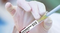 A vaccine must go through six crucial steps. Image credit: Gerd Altmann.