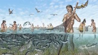 Fish were captured and stored by the Calusa people in complex walled structures called watercourts, constructed of shell and other sediments. Image credit: Merald Clark.