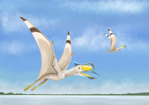 An artist’s impression of Afrotapejara zouhrii. Image credit: Megan Jacobs, Baylor University.