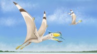 An artist’s impression of Afrotapejara zouhrii. Image credit: Megan Jacobs, Baylor University.