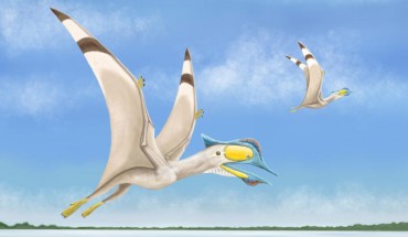 An artist’s impression of Afrotapejara zouhrii. Image credit: Megan Jacobs, Baylor University.