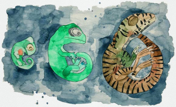 Watercolor painting of the Massospondylus carinatus embryos at 17% through the incubation period, 60% through the incubation period and 100% through the incubation period. Image credit: Mélanie Saratori.