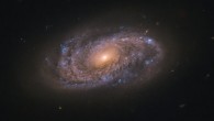 This Hubble image shows NGC 2906, a spiral galaxy located 145 million light-years away in the constellation of Leo. The color image was made from separate exposures taken in the visible and near-infrared regions of the spectrum with Hubble’s Advanced Camera for Surveys (ACS) instrument. Two filters were used to sample various wavelengths. The color results from assigning different hues to each monochromatic image associated with an individual filter. Image credit: NASA / ESA / Hubble / A. Filippenko.