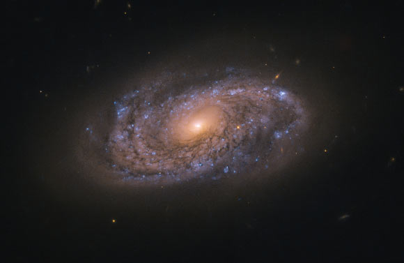 This Hubble image shows NGC 2906, a spiral galaxy located 145 million light-years away in the constellation of Leo. The color image was made from separate exposures taken in the visible and near-infrared regions of the spectrum with Hubble’s Advanced Camera for Surveys (ACS) instrument. Two filters were used to sample various wavelengths. The color results from assigning different hues to each monochromatic image associated with an individual filter. Image credit: NASA / ESA / Hubble / A. Filippenko.
