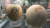 Decorated eggs from the Isis Tomb, Vulci, Italy, on display in the British Museum. Image credit: Jononmac46 / CC BY-SA 3.0.