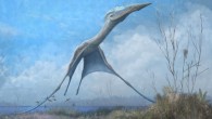 A reconstruction of the giant pterosaur Hatzegopteryx launching into the air, just after the forelimbs have left the ground. Image credit: Mark Witton.
