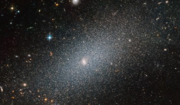 This Hubble image shows the dwarf elliptical galaxy LEDA 29388. Image credit: NASA / ESA / Hubble / T. Armandroff.